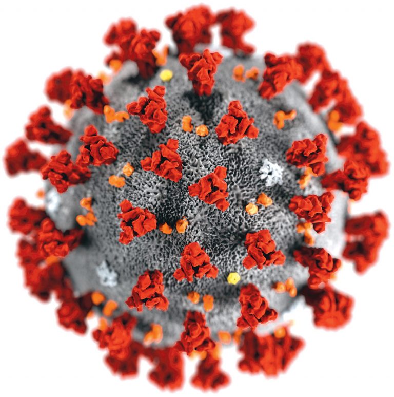 Coronavirus